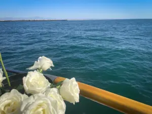 海洋散骨║学研ココファンのお葬式「ここりえ」